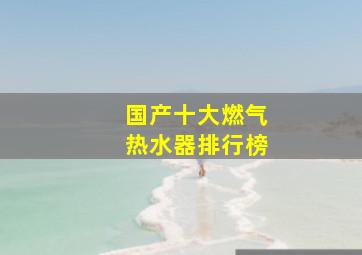 国产十大燃气热水器排行榜