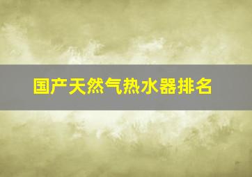 国产天然气热水器排名