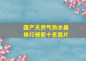 国产天然气热水器排行榜前十名图片