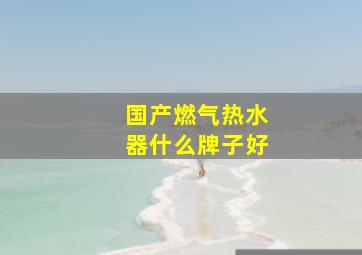 国产燃气热水器什么牌子好