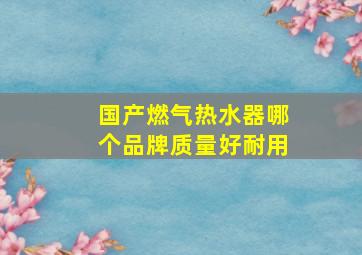 国产燃气热水器哪个品牌质量好耐用