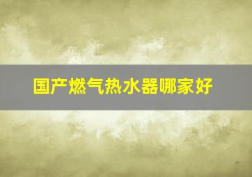 国产燃气热水器哪家好