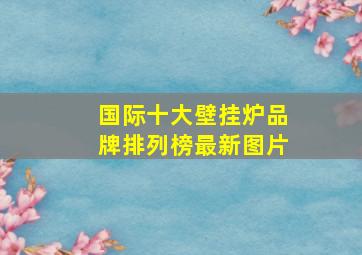 国际十大壁挂炉品牌排列榜最新图片