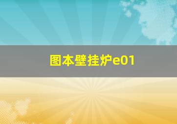 图本壁挂炉e01