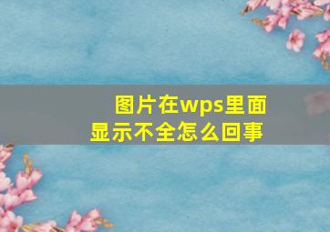 图片在wps里面显示不全怎么回事