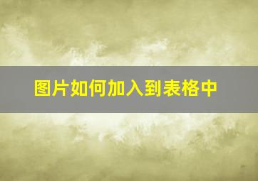 图片如何加入到表格中