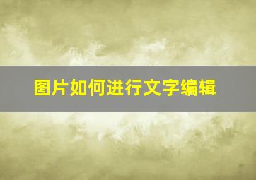 图片如何进行文字编辑