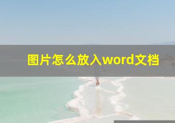 图片怎么放入word文档