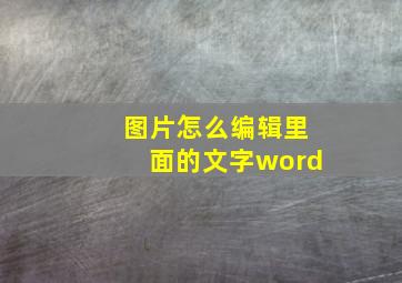 图片怎么编辑里面的文字word