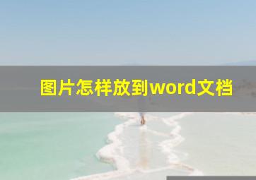 图片怎样放到word文档