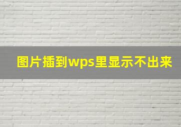 图片插到wps里显示不出来