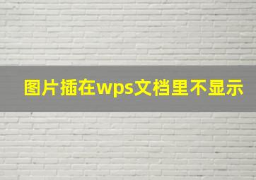 图片插在wps文档里不显示