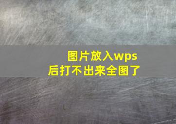 图片放入wps后打不出来全图了