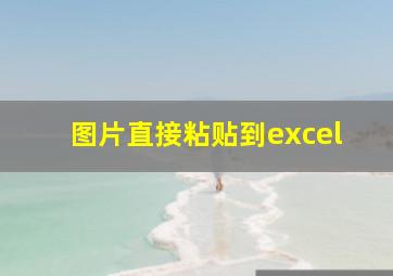 图片直接粘贴到excel