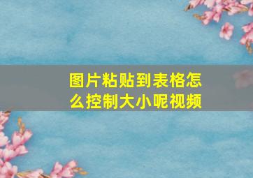 图片粘贴到表格怎么控制大小呢视频