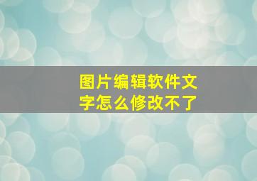 图片编辑软件文字怎么修改不了