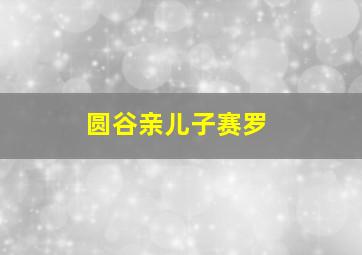 圆谷亲儿子赛罗