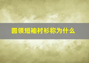 圆领短袖衬衫称为什么