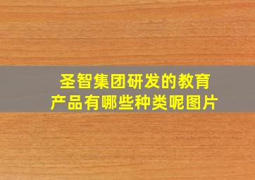 圣智集团研发的教育产品有哪些种类呢图片