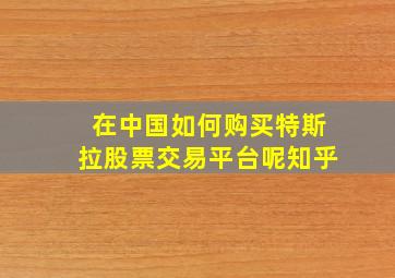 在中国如何购买特斯拉股票交易平台呢知乎