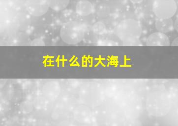 在什么的大海上