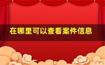 在哪里可以查看案件信息