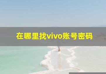 在哪里找vivo账号密码