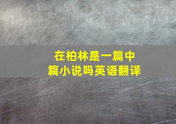 在柏林是一篇中篇小说吗英语翻译