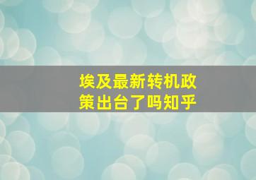 埃及最新转机政策出台了吗知乎