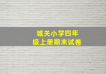 城关小学四年级上册期末试卷