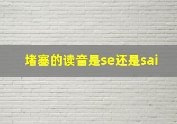 堵塞的读音是se还是sai