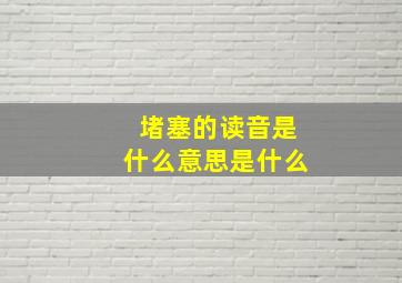 堵塞的读音是什么意思是什么