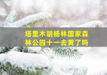 塔里木胡杨林国家森林公园十一去黄了吗