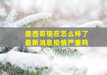 墨西哥现在怎么样了最新消息疫情严重吗