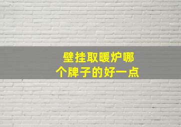 壁挂取暖炉哪个牌子的好一点