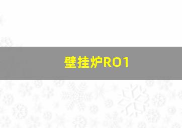 壁挂炉RO1