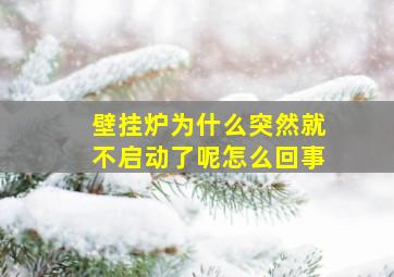 壁挂炉为什么突然就不启动了呢怎么回事