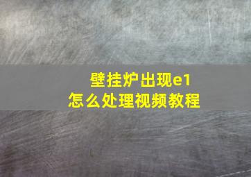 壁挂炉出现e1怎么处理视频教程