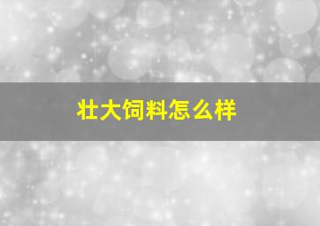 壮大饲料怎么样