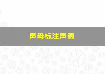 声母标注声调