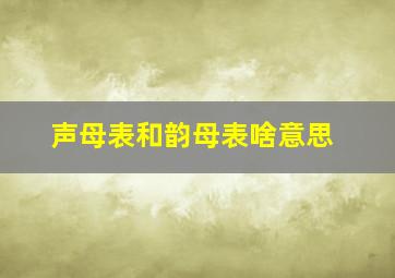 声母表和韵母表啥意思