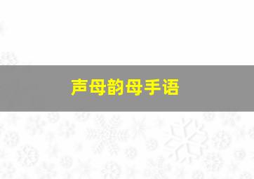 声母韵母手语