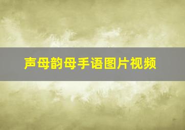 声母韵母手语图片视频