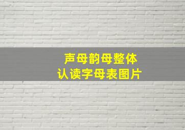 声母韵母整体认读字母表图片