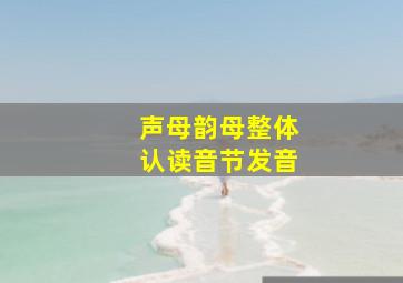 声母韵母整体认读音节发音