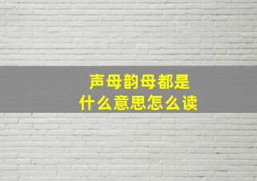 声母韵母都是什么意思怎么读