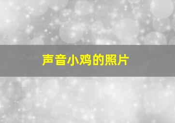 声音小鸡的照片