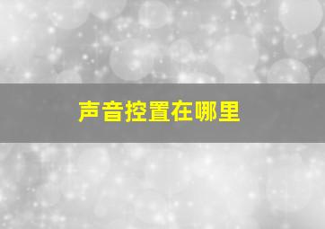 声音控置在哪里