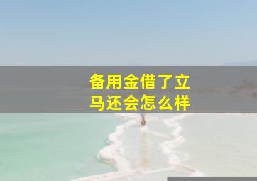 备用金借了立马还会怎么样