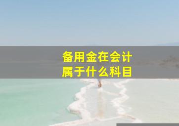 备用金在会计属于什么科目